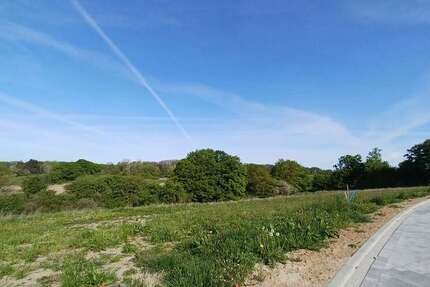 Grundstück Schönberg (Mecklenburg) - 250.000&euro; | Angebot:24041945