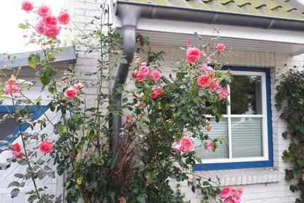 Haus Timmendorfer Strand - 5 Zimmer, 131 m&sup2;, 530.000&euro; | Angebot:24398934