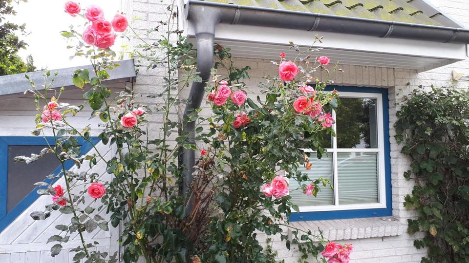 Reihenhaus Timmendorfer Strand - 5 Zimmer, 131 m&sup2;, 530.000&euro; | Angebot:24398934