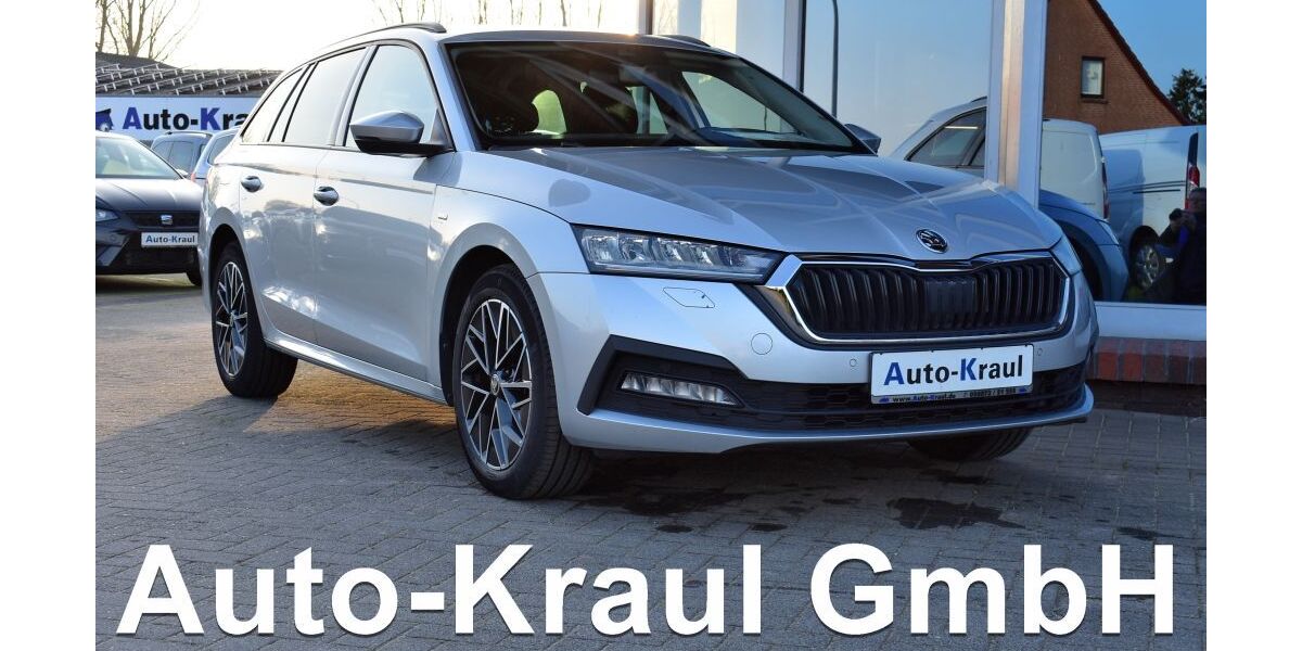 Skoda Octavia 89.065 km 21.549 &euro; Rehna 19217