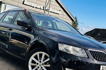 Skoda Octavia 155.700 km 10.888 € Stepenitztal 23936