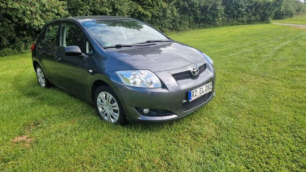 Auris