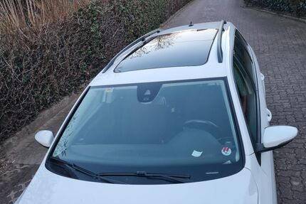 VW Passat 193.000 km 6.500 &euro; Groß Niendorf 23816