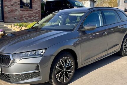 Skoda Octavia 11.250 km 30.900 &euro; Pogeez 23911