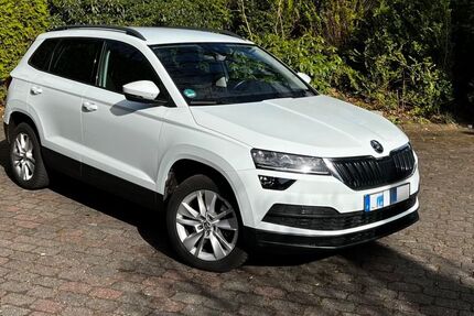 Skoda Karoq 223.000 km 10.300 &euro; Groß Niendorf 23816