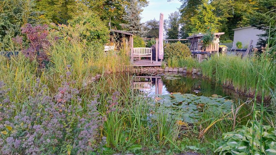 Einfamilienhaus Dassow - 450.000&euro; | Angebot:26858124
