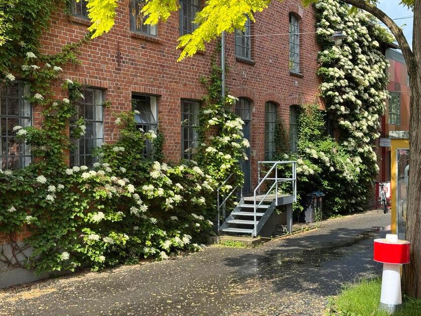 Loft in guter Lage zu vermieten