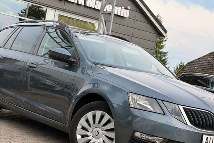Skoda Octavia 112.000 km 13.985 &euro; Stepenitztal 23936