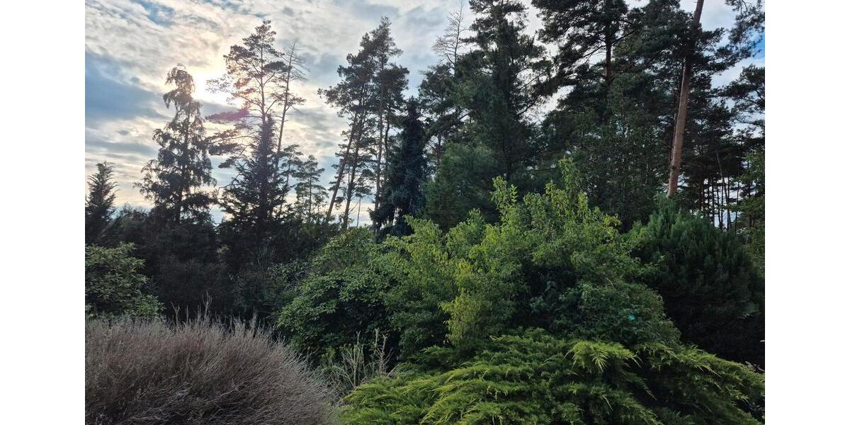 Einfamilienhaus Tremsbüttel - 3 Zimmer, 72 m&sup2;, 980&euro; | Angebot:24743087