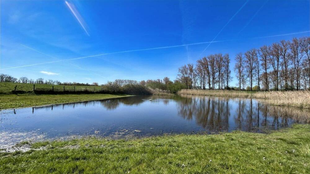 Doppelhaushälfte Dassow Prieschendorf - 4 Zimmer, 85 m&sup2;, 179.000&euro; | Angebot:26499734