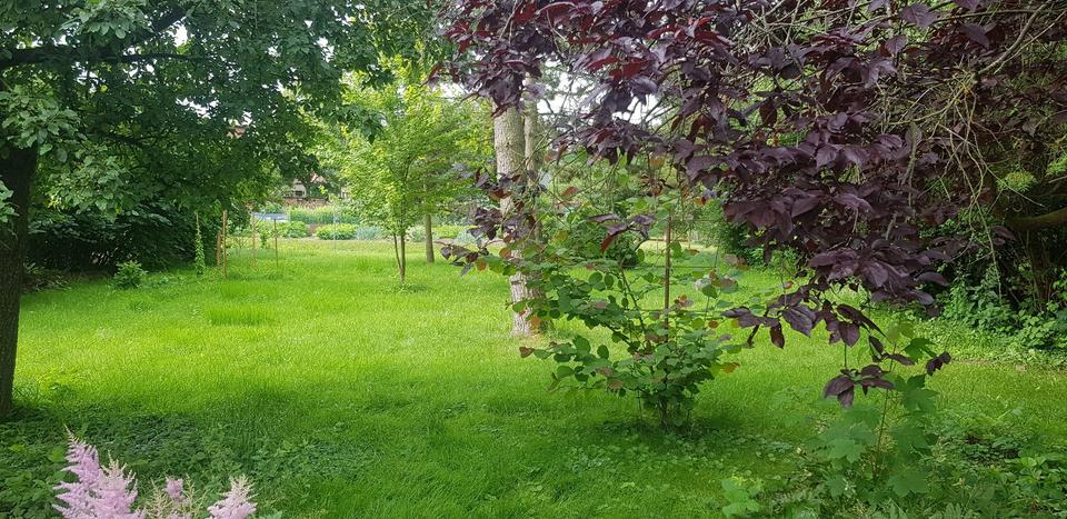 Zimmer in HausWG mit großem Garten 10 zimmer