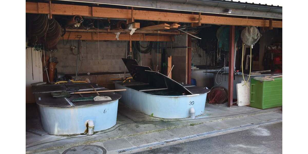 Gewerbeobjekt Seedorf - 1 Zimmer, 1.690.000&euro; | Angebot:25748687