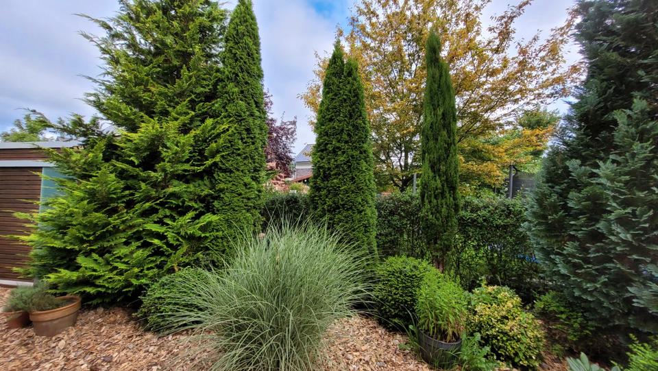 Einfamilienhaus Bad Oldesloe - 4 Zimmer, 141 m&sup2;, 480.000&euro; | Angebot:27245185