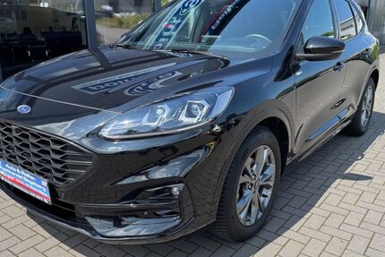 Ford Kuga 24.000 km 24.990 € Bad Segeberg 23795