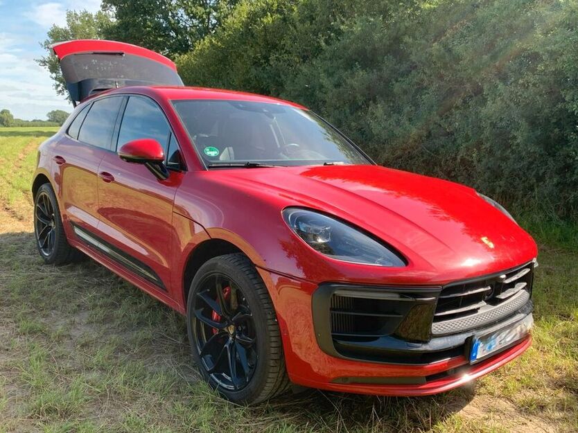 Macan