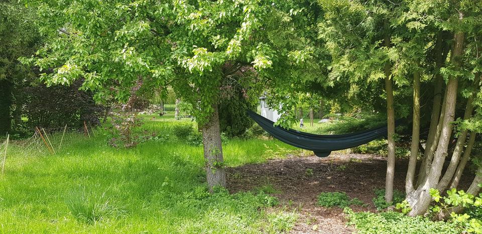 Zimmer in HausWG mit großem Garten 10 zimmer