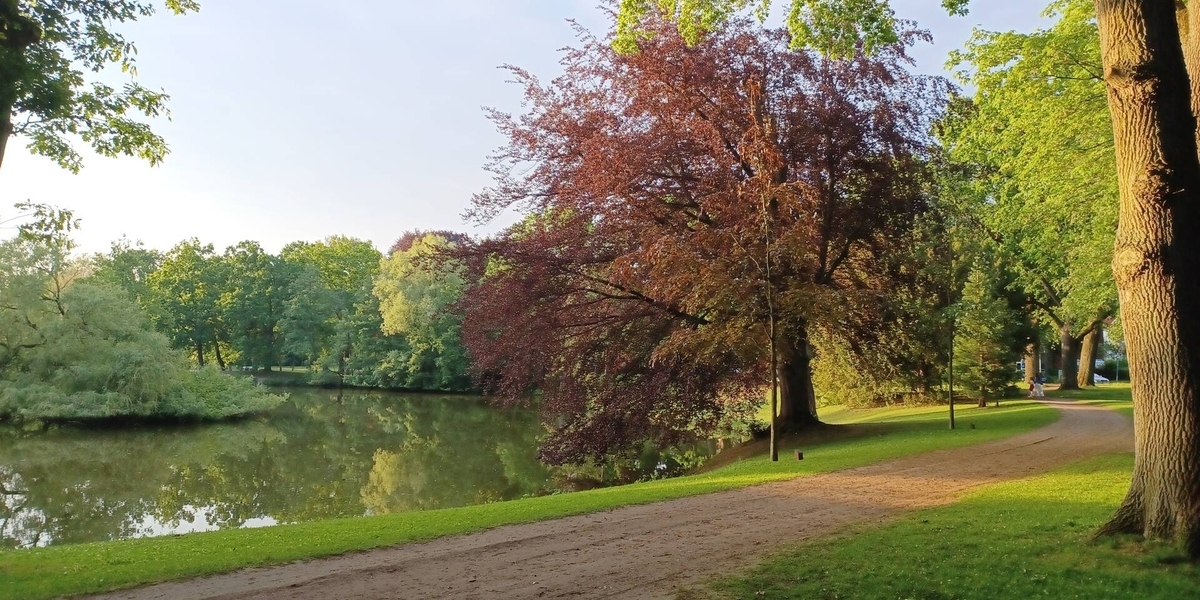 Familienfreundlich: Endreihenhaus in St. Gertrud, nahe Stadtpark, nahe Kindergarten !!! - Reihenendhaus Lübeck Sankt Gertrud | Angebot:26765255