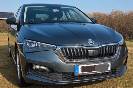 Skoda Scala 47.622 km 15.750 &euro; Sandesneben 23898