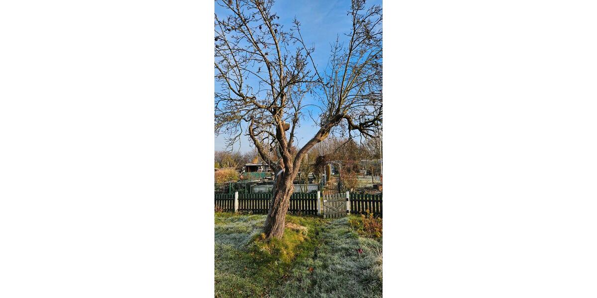 Grundstück Lübeck Sankt Jürgen - 1.300&euro; | Angebot:23729525