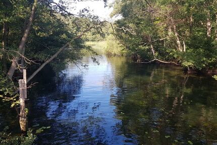 VW Sharan 83.000 km 27.950 &euro; Mustin 23911