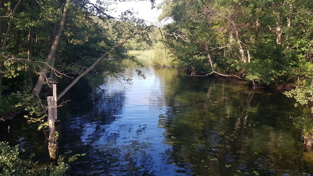 VW Sharan 83.000 km 28.900 &euro; Mustin 23911