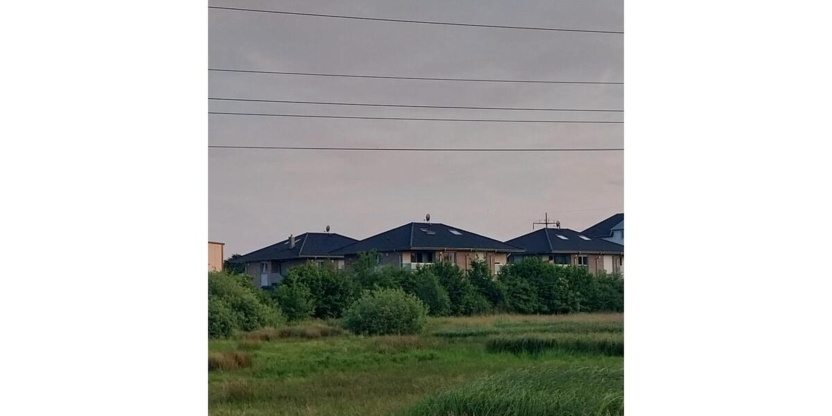 WohnungBüro Studio Praxis mit optionaler Halle im Gewerbegebiet Bad Segeberg zimmer