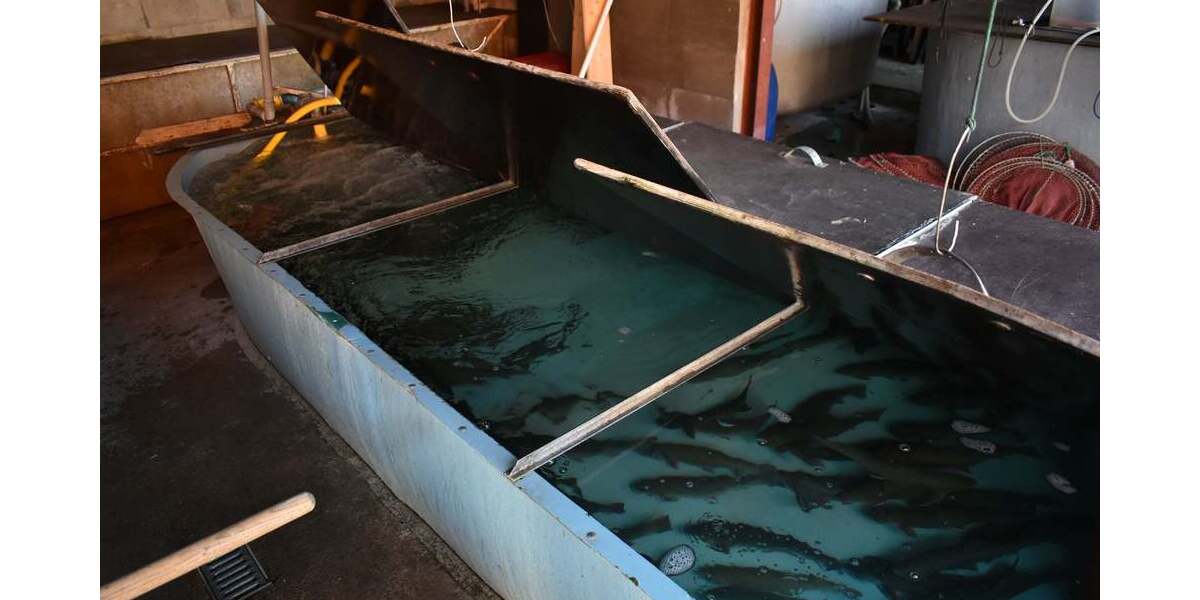 Gewerbeobjekt Seedorf - 1 Zimmer, 1.800.000&euro; | Angebot:19348593