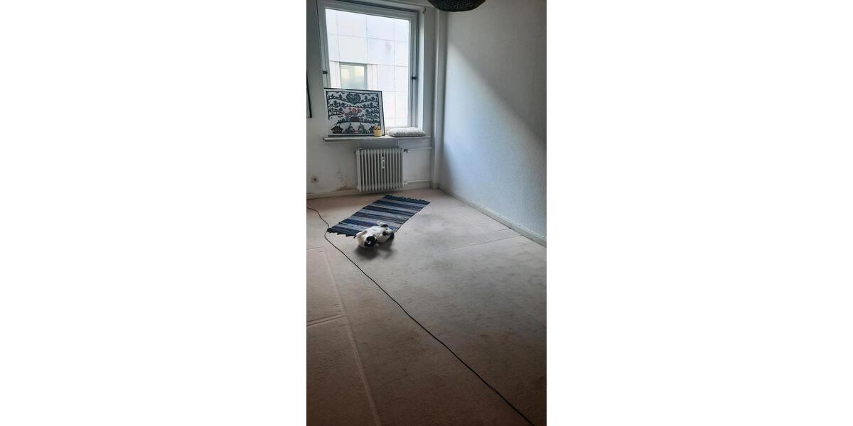 Etagenwohnung Lübeck Innenstadt - 1 Zimmer, 10 m&sup2;, 500&euro; | Angebot:26251110