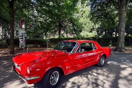 Ford Mustang 77.000 km 30.000 &euro; Steinburg 22964