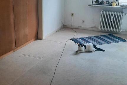 Wohnung Lübeck Innenstadt - 1 Zimmer, 10 m&sup2;, 500&euro; | Angebot:26251110