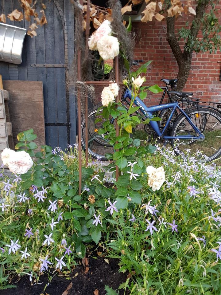 Großzügige und ruhige Erdgeschoßwohnung mit eigenem Garten