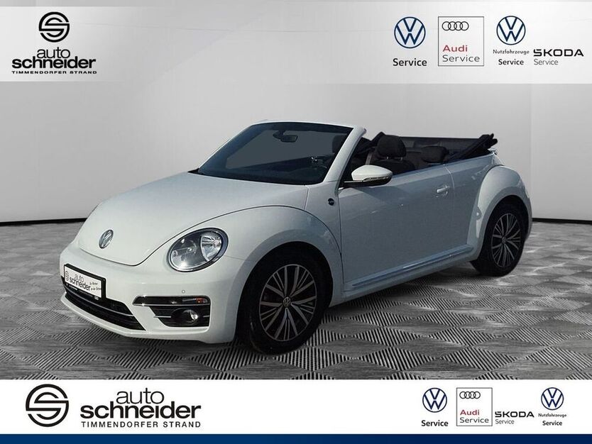 Beetle