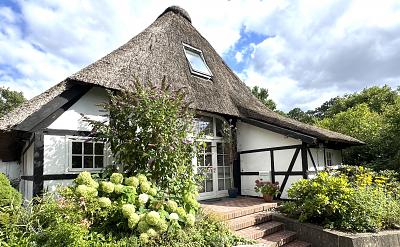 LICHTDURCHFLUTET & OFFENE BAUWEISE UNTER REET - Haus Lübeck Sankt Gertrud | Angebot:27332100