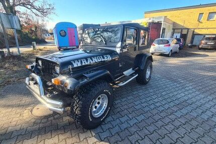 Jeep Wrangler 149.356 km 15.700 &euro; Linau 22959