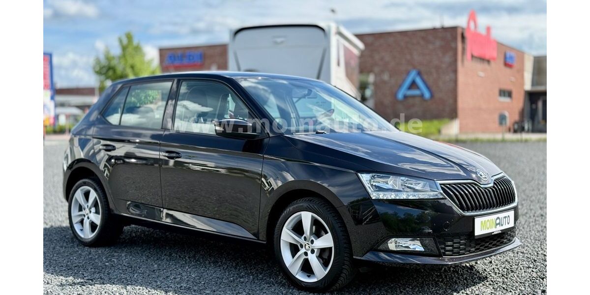 Skoda Fabia 47.300 km 10.990 &euro; Reinfeld 23858
