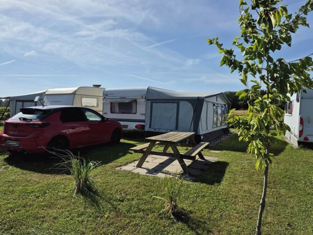 Dauerstellplatz Süseler Baum Campingplatz Seepark - Gewerbeobjekt Süsel | Angebot:27120890