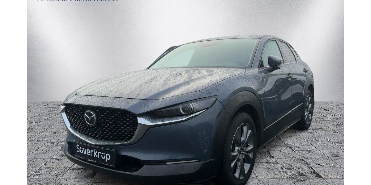 Mazda CX-30 47.000 km 20.930 &euro; Bad Oldesloe 23843