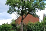 Familienfreundlich: Endreihenhaus in St. Gertrud, nahe Stadtpark, nahe Kindergarten !!! - Reihenendhaus Lübeck Sankt Gertrud | Angebot:26765255