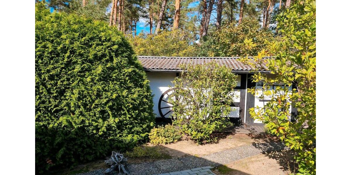 Einfamilienhaus Tremsbüttel - 3 Zimmer, 76 m&sup2;, 980&euro; | Angebot:25942847