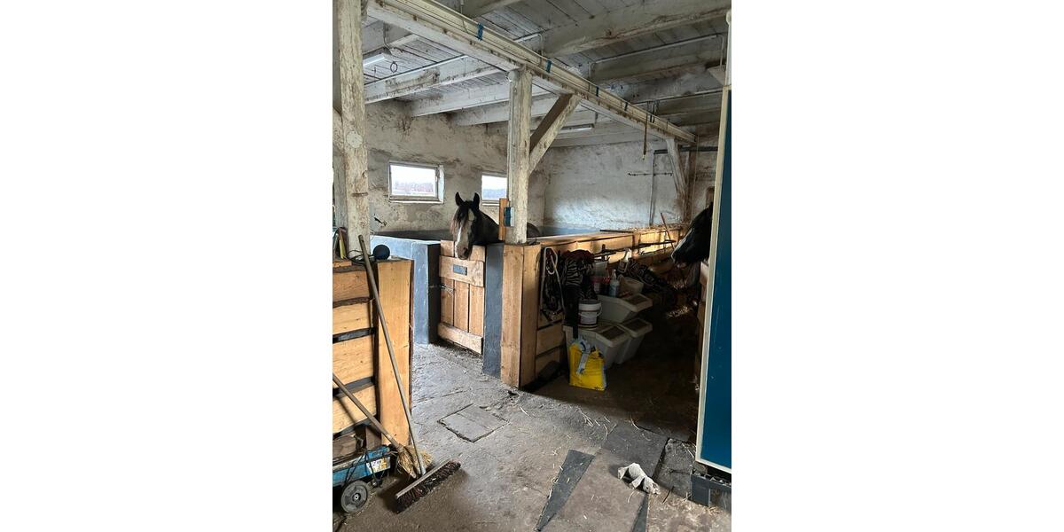Einfamilienhaus Dassow - 6 Zimmer, 124 m&sup2;, 185.000&euro; | Angebot:26977230