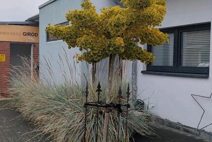 Haus im Herzen von Krummesse zimmer