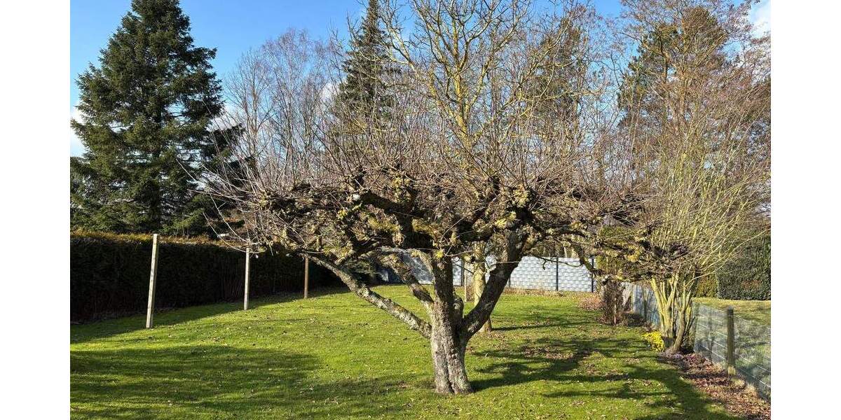 Doppelhaushälfte Neustadt in Holstein Neustadt - 5 Zimmer, 132 m&sup2;, 420.000&euro; | Angebot:25777742