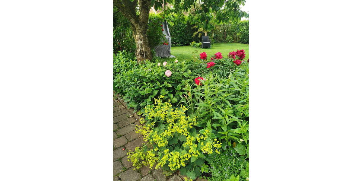 Einfamilienhaus Lübeck St. Lorenz Nord - 5 Zimmer, 125 m&sup2;, 669.000&euro; | Angebot:26188604