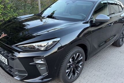 Cupra Terramar 22.005 km 37.950 &euro; Lübeck 23566