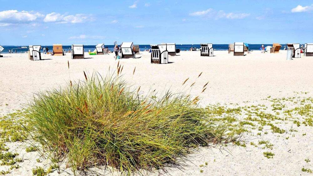 Grundstück Nordwestmecklenburg - Landkreis - Dassow Kaltenhof - 450.000&euro; | Angebot:25425078