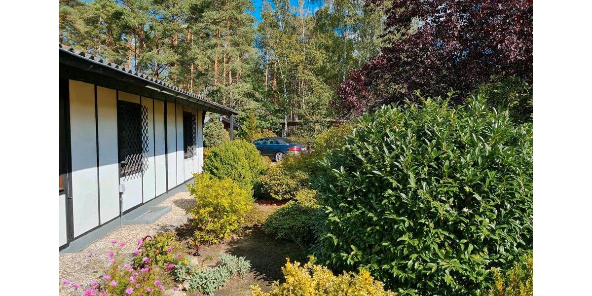 Einfamilienhaus Tremsbüttel - 3 Zimmer, 76 m&sup2;, 980&euro; | Angebot:25942847