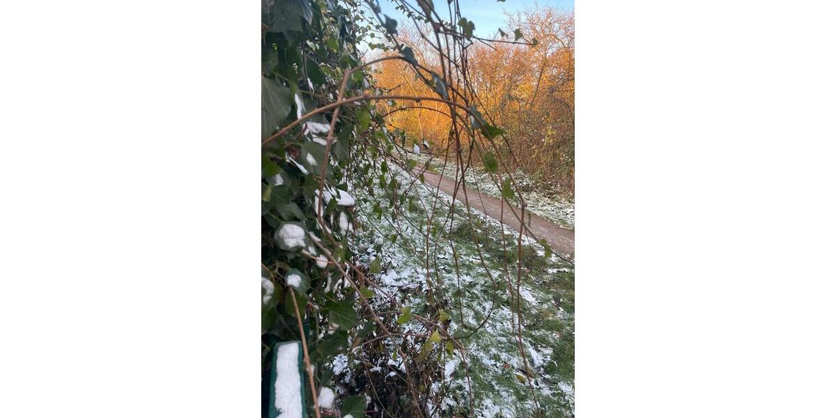 Einfamilienhaus Reinfeld (Holstein) - 6 Zimmer, 160 m&sup2;, 440.000&euro; | Angebot:21509066