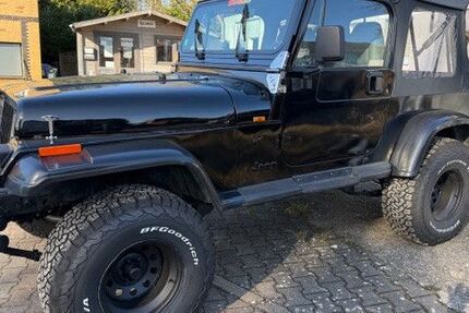 Jeep Wrangler 196.000 km 8.990 &euro; Linau 22959