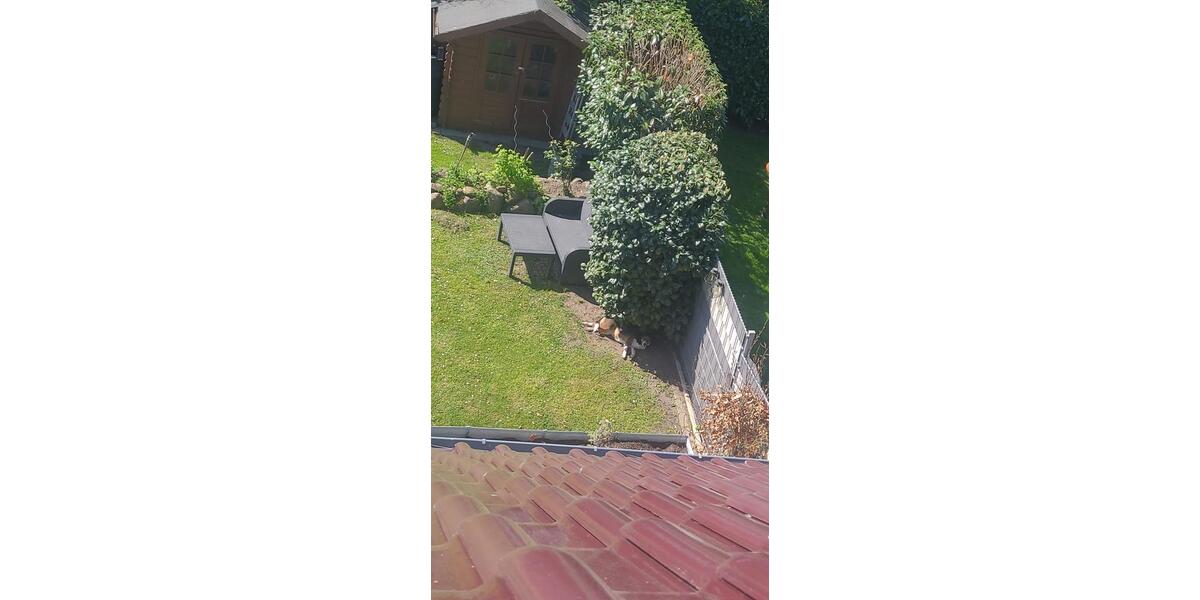 Doppelhaushälfte Lübeck Sankt Lorenz Nord - 4 Zimmer, 105 m&sup2;, 448.000&euro; | Angebot:25588787