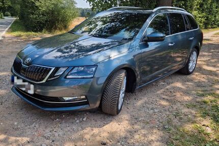 Skoda Octavia 132.000 km 16.950 &euro; Steinburg 22964
